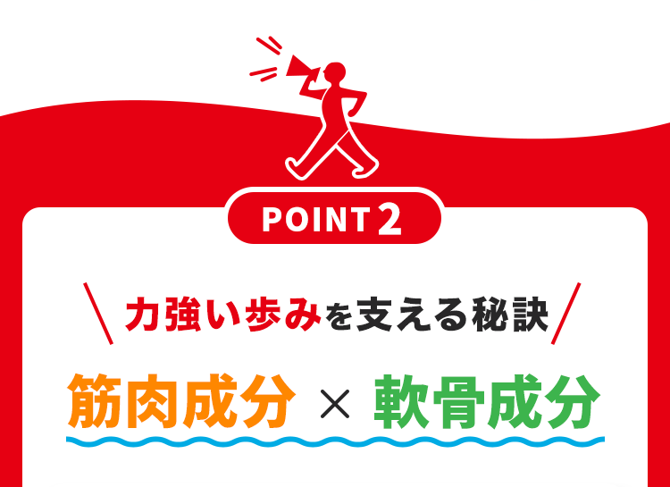 バ
POINT 2
力強い歩みを支える秘訣
筋肉成分 × 軟骨成分
