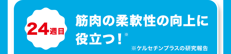 筋肉の柔軟性の向上に
224 週目
役立つ!"
※ケルセチンプラスの研究報告