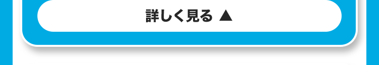 詳しく見る ▲