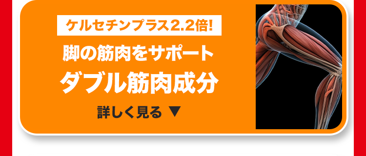 ケルセチンプラス2.2倍!
脚の筋肉をサポート
ダブル筋肉成分
詳しく見る ▼