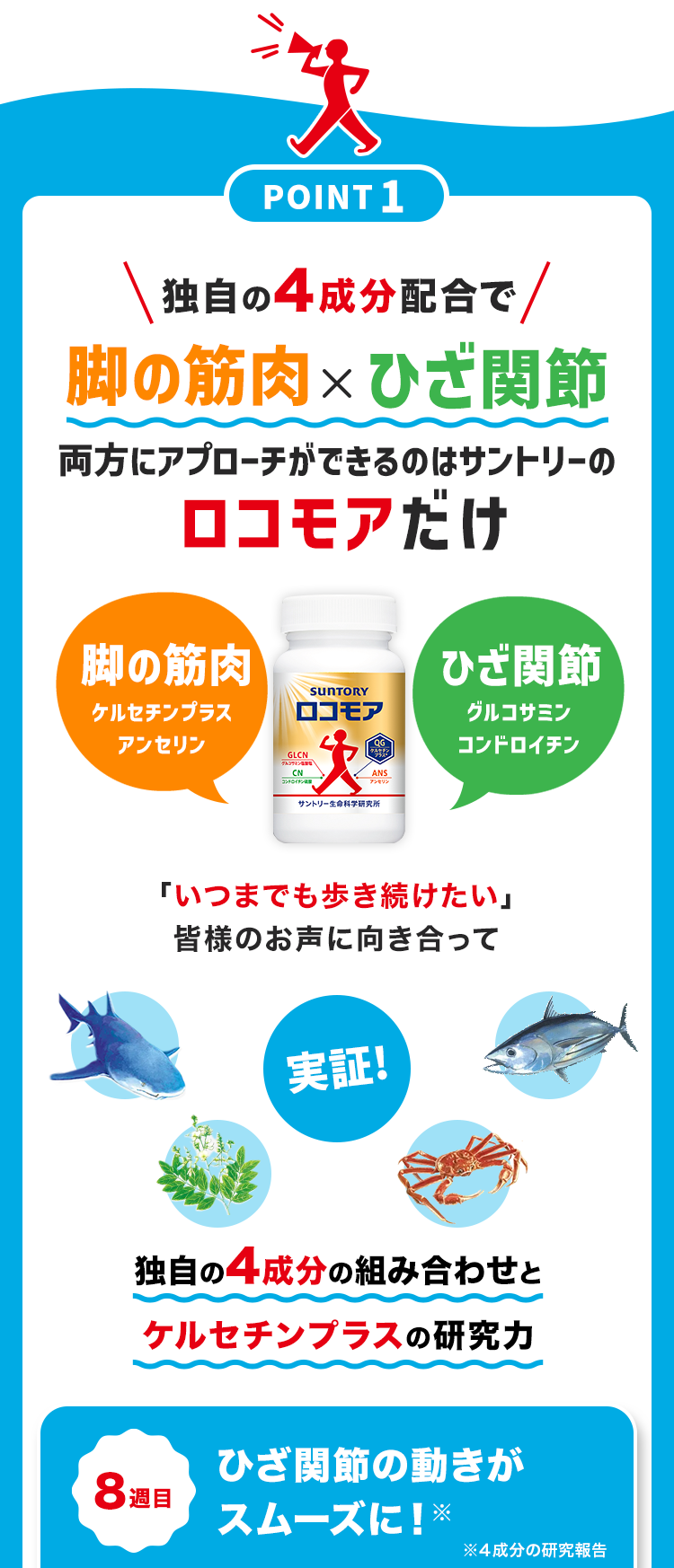 POINT 1
独自の4成分配合で /
脚の筋肉× ひざ関節
両方にアプローチができるのはサントリーの
ロコモアだけ
脚の筋肉
ひざ関節
SunTORY
ケルセチンプラス
ロコモア
グルコサミン
アンセリン
GLCN
グルコサミン
CN
火
コンドロイチン
アンセリン
サントリー生命科学研究所
QG
コンドロイチン
ANS
「いつまでも歩き続けたい」
皆様のお声に向き合って
実証!
独自の4成分の組み合わせと
ケルセチンプラスの研究力
8週目
ひざ関節の動きが
スムーズに! ※
※4成分の研究報告