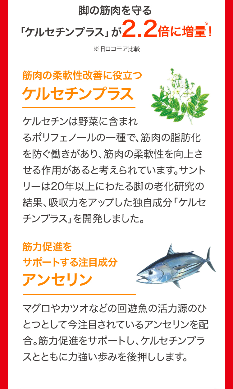 脚の筋肉を守る
「ケルセチンプラス」が2.2倍に増量!
※旧ロコモア比較
筋肉の柔軟性改善に役立つ
ケルセチンプラス
ケルセチンは野菜に含まれ
るポリフェノールの一種で、筋肉の脂肪化
を防ぐ働きがあり、筋肉の柔軟性を向上さ
せる作用があると考えられています。 サント
リーは20年以上にわたる脚の老化研究の
結果、吸収力をアップした独自成分 「ケルセ
チンプラス」を開発しました。
筋力促進を
サポートする注目成分
アンセリン
マグロやカツオなどの回遊魚の活力源のひ
とつとして今注目されているアンセリンを配
合。筋力促進をサポートし、ケルセチンプラ
スとともに力強い歩みを後押しします。