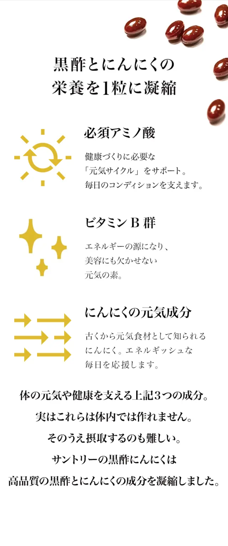 黒酢とにんにくの栄養を1粒に凝縮

必須アミノ酸 健康づくりに必要な「元気サイクル」をサポート。毎日のコンディションを支えます。
ビタミンB群 エネルギーの源になり、美容にも欠かせない元気の素。
にんにくの元気成分 古くから元気食材として知られるにんにく。エネルギッシュな毎日を応援します。

体の元気や健康を支える上記3つの成分。実はこれらは体内では作れません。そのうえ摂取するのも難しい。サントリーの黒酢にんにくは高品質の黒酢とにんにくの成分を凝縮しました。