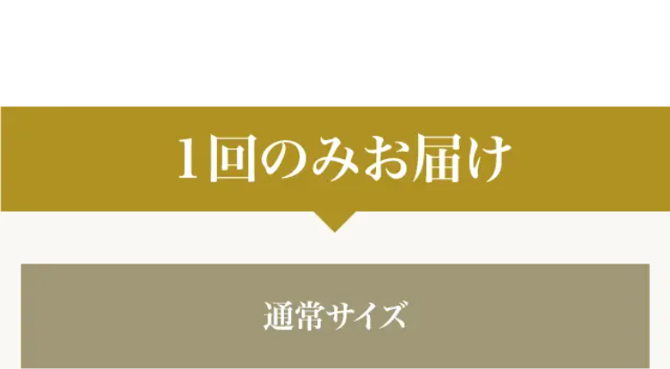 1回のみお届け　通常サイズ