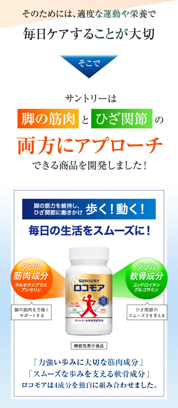 そのためには、適度な運動や栄養で毎日ケアすることが大切

そこで

サントリーは脚の筋肉とひざ関節の両方にアプローチできる商品を開発しました！

脚の筋力を維持し、ひざ関節に働きかけ歩く！動く！毎日の生活をスムーズに！ 筋肉成分 ケルセチンプラス アンセリン 脚の筋肉を力強くサポートする 軟骨成分 コンドロイチン グルコサミン ひざ関節のスムーズさを支える サントリーロコモア 機能性表示食品 「力強い歩みに大切な筋肉成分」「スムーズな歩みを支える軟骨成分」ロコモアは4成分を独自に組み合わせました。