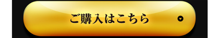 ご購入はこちら
