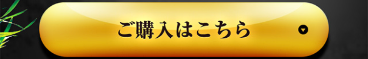 ご購入はこちら