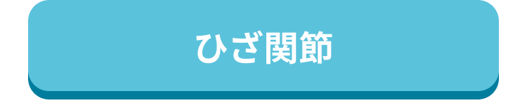 ひざ関節