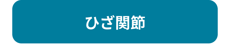 ひざ関節