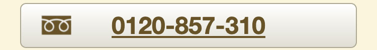0120-857-310
